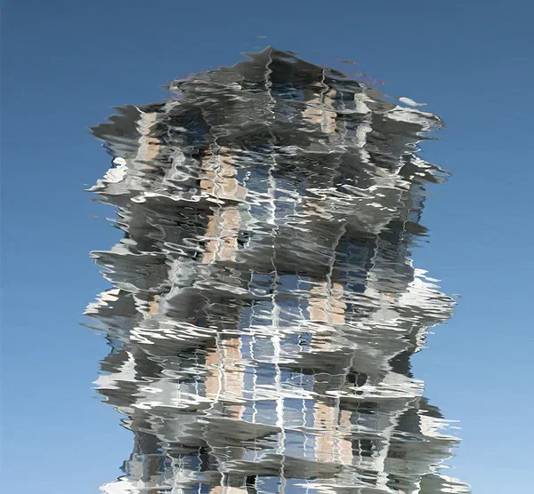 Akvatisk Kaktus