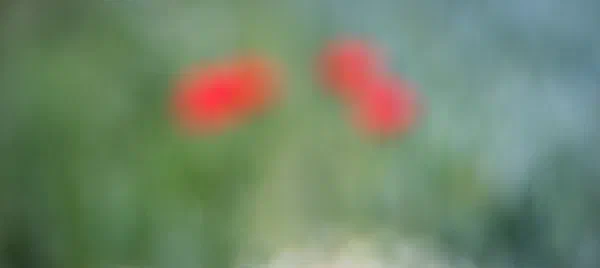 Poppy Impressions