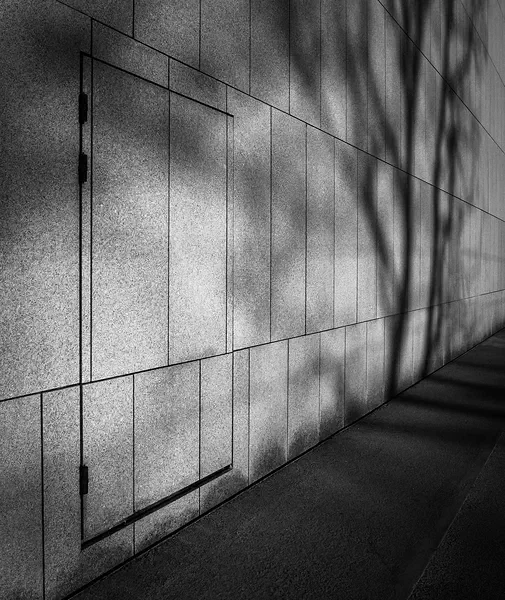 The Door