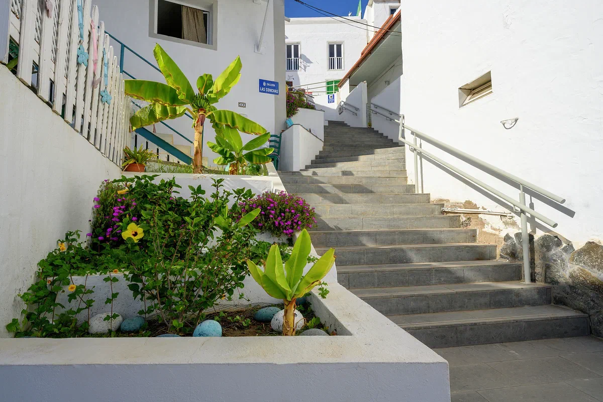 Steps of Puerto de Morgán, Foundations 2022
