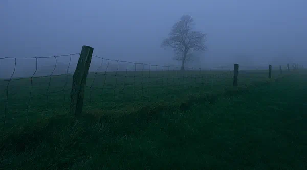 Green Field