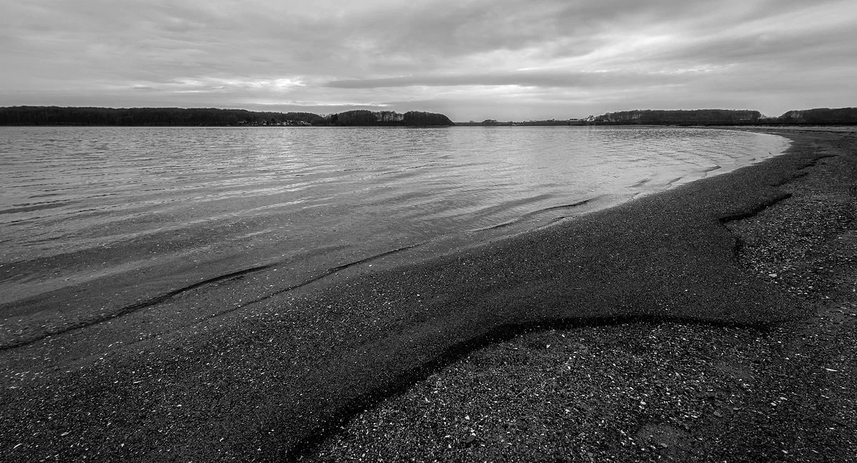 Grey Wave, Nature 2016