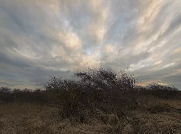 Elemental
