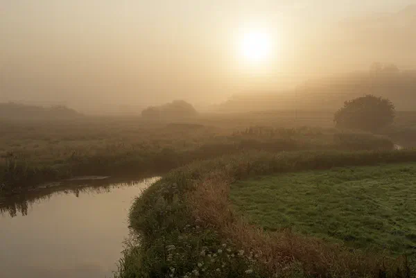 Winding Stream