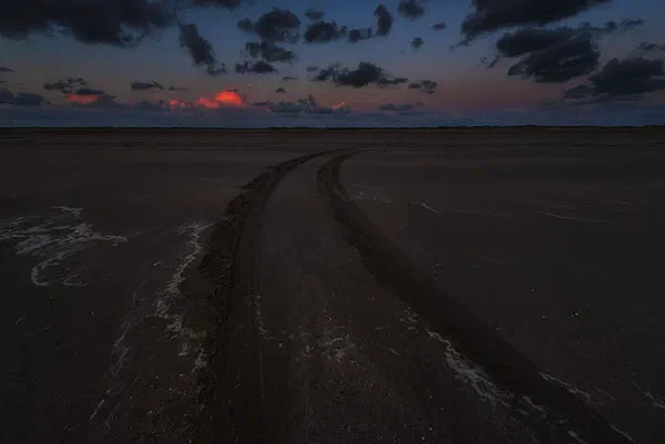 Tracks