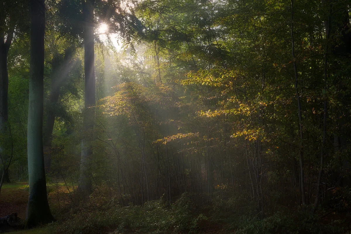 Retreat, Nature 2017