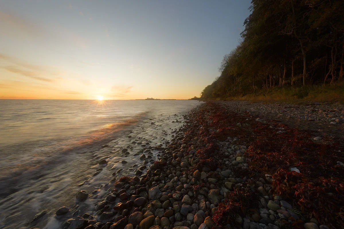 Rocks and Waves, Nature 2017