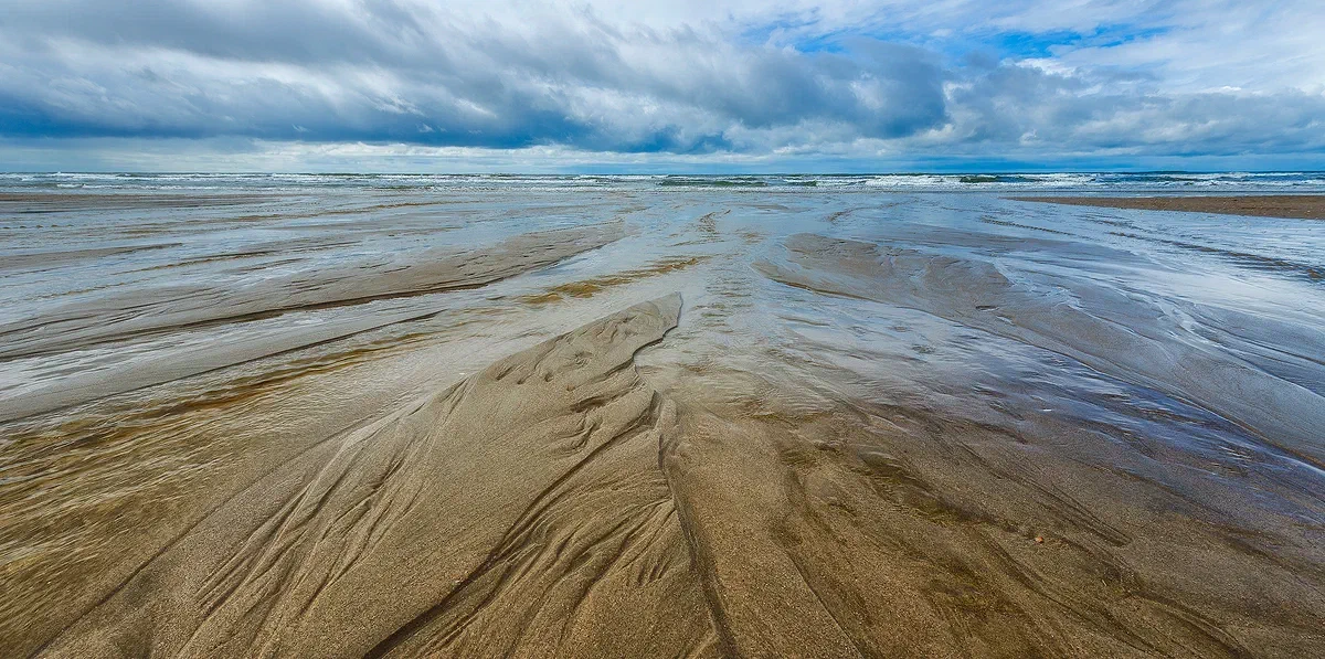 Sand Arteries, Nature 2017