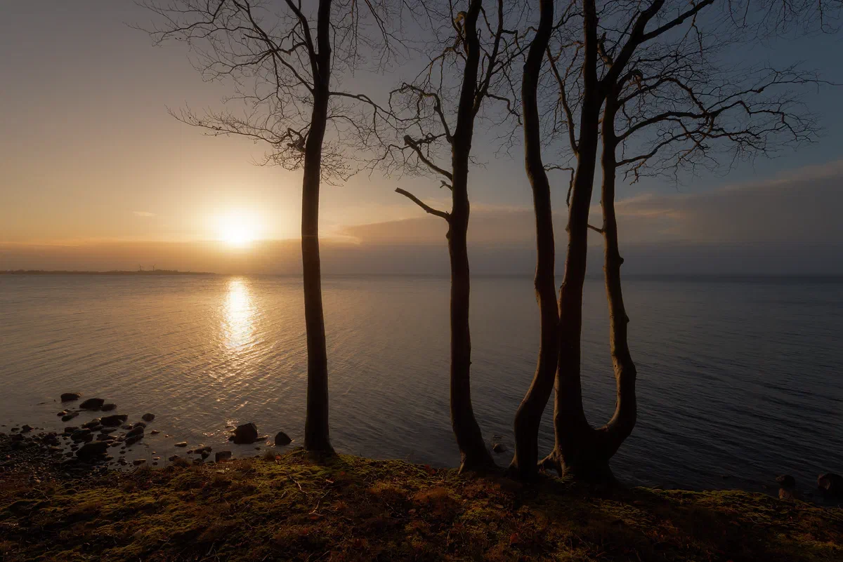 Outpost, Nature 2017