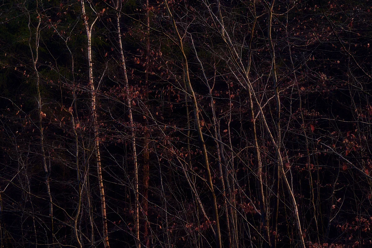 Layers, Nature 2017