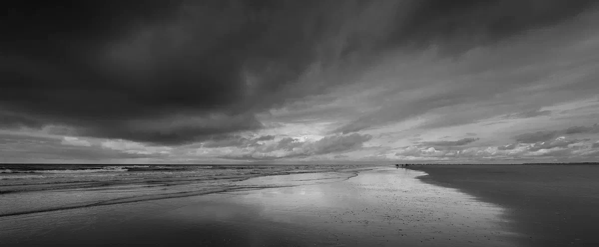Frontier BW, Nature 2017
