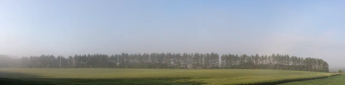 Tree Line, Nature 2017