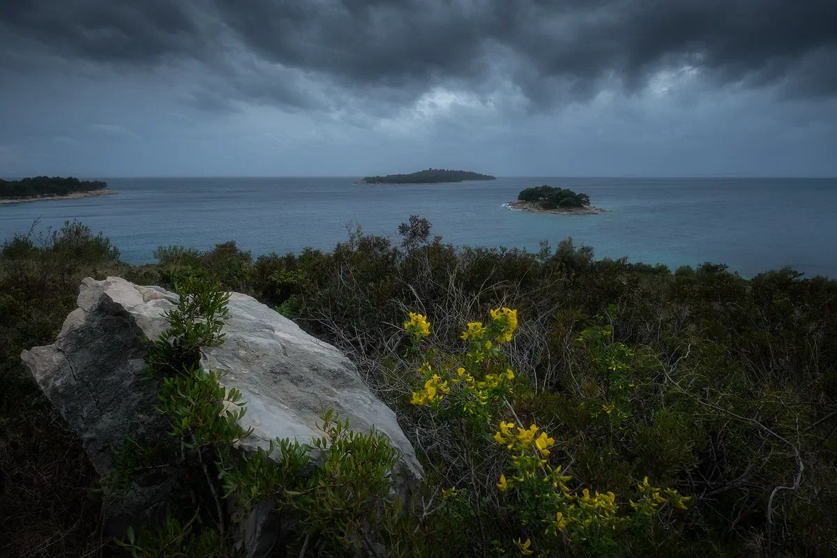 Split Coast I, Nature 2018