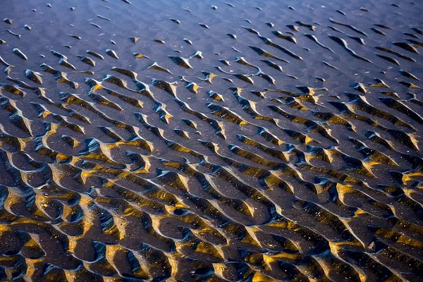 Dune Submersion