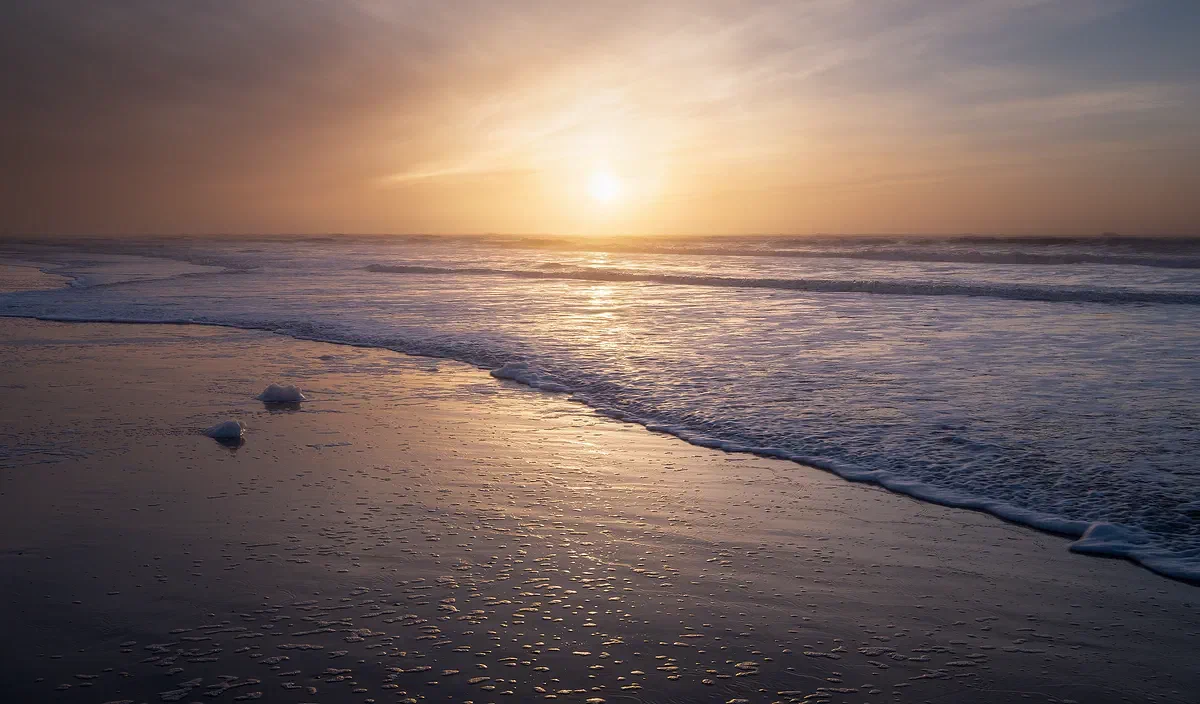 Løkken Sunset, Nature 2019