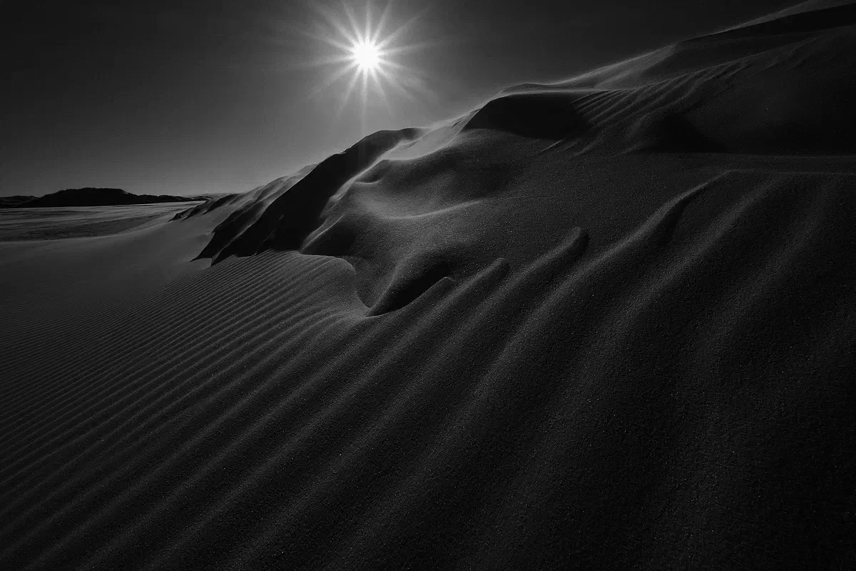 Desert Dreams, Nature 2019