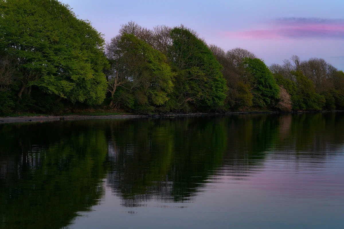 Stillness II, Nature 2020