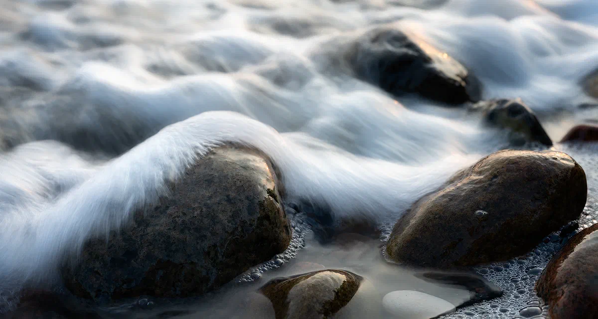 Matter, Nature 2020