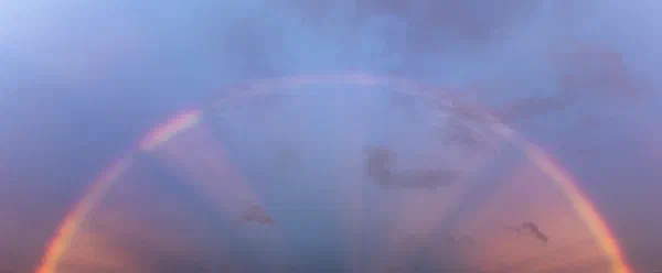 Rainbow