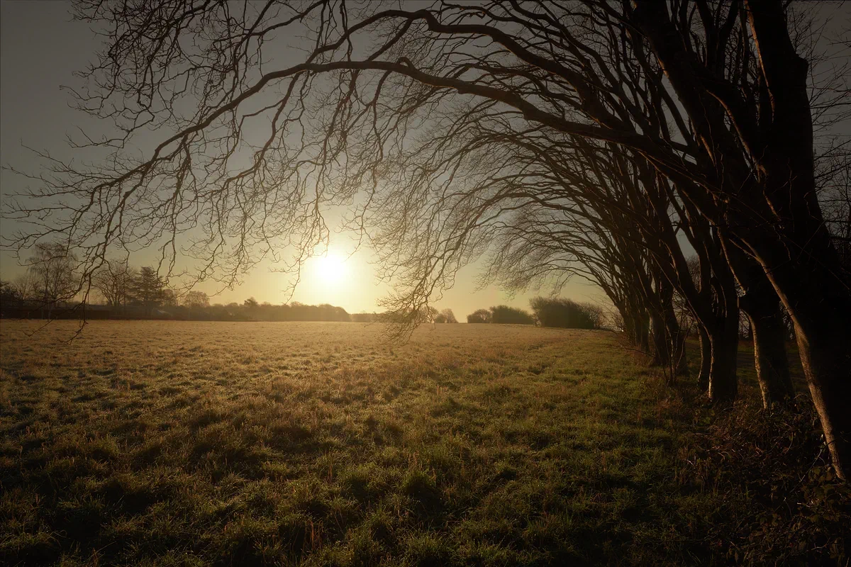 Light Tunnel, Nature 2020