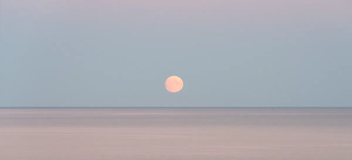 Moonrise, Nature 2020