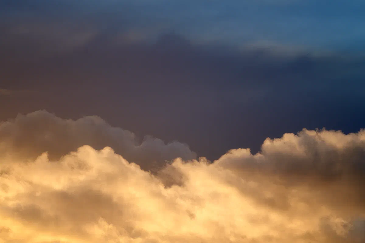 Rise, Nature 2021