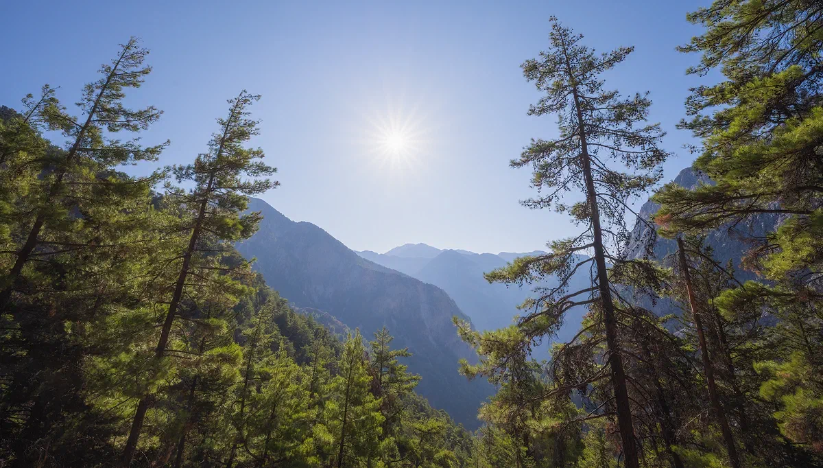 Samaria II, Nature 2021