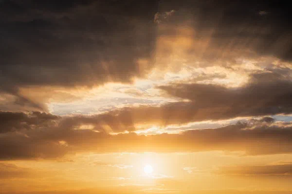 Shine Through