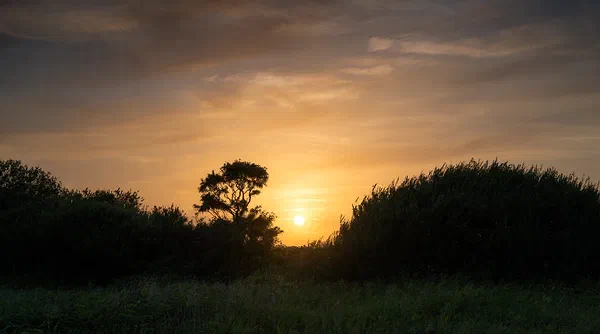 Evening Glow