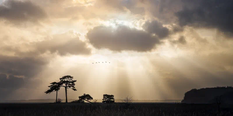 Nature 2022
