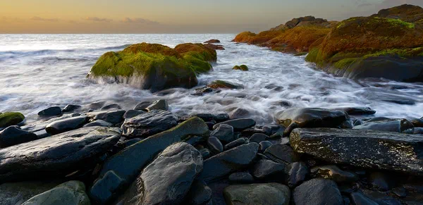 Gran Canarian Coast II