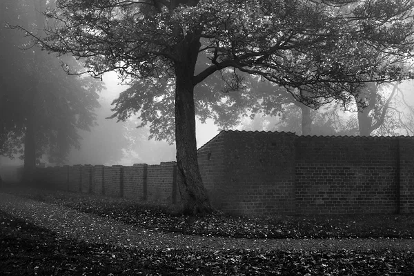 Around the Bend BW
