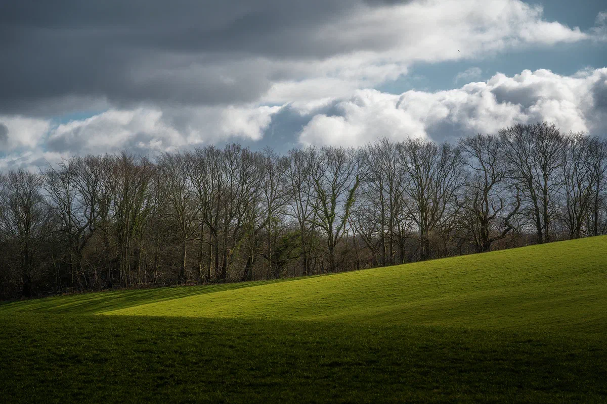 Green Hill, Nature 2023