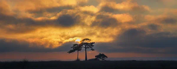 Trillen III