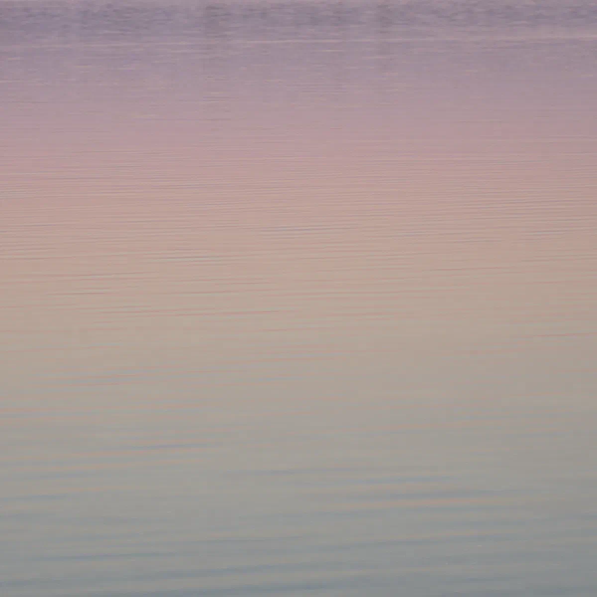 Pastel Dream, Nature 2023