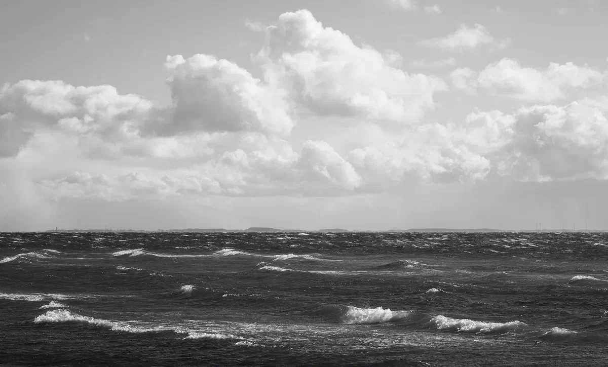 Wind BW, Nature 2023