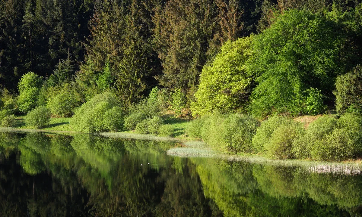 Mirror Lake, Nature 2023