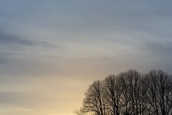 Soft Winter Glow