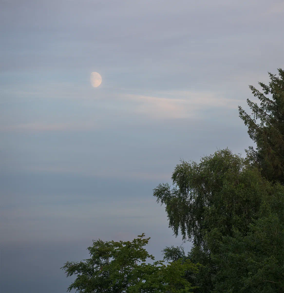 Ethereal Moon, Nature 2023