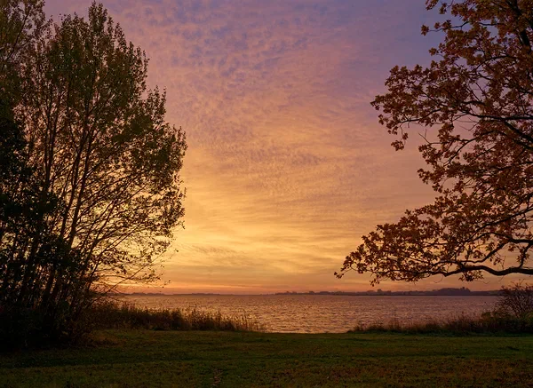 Dawn