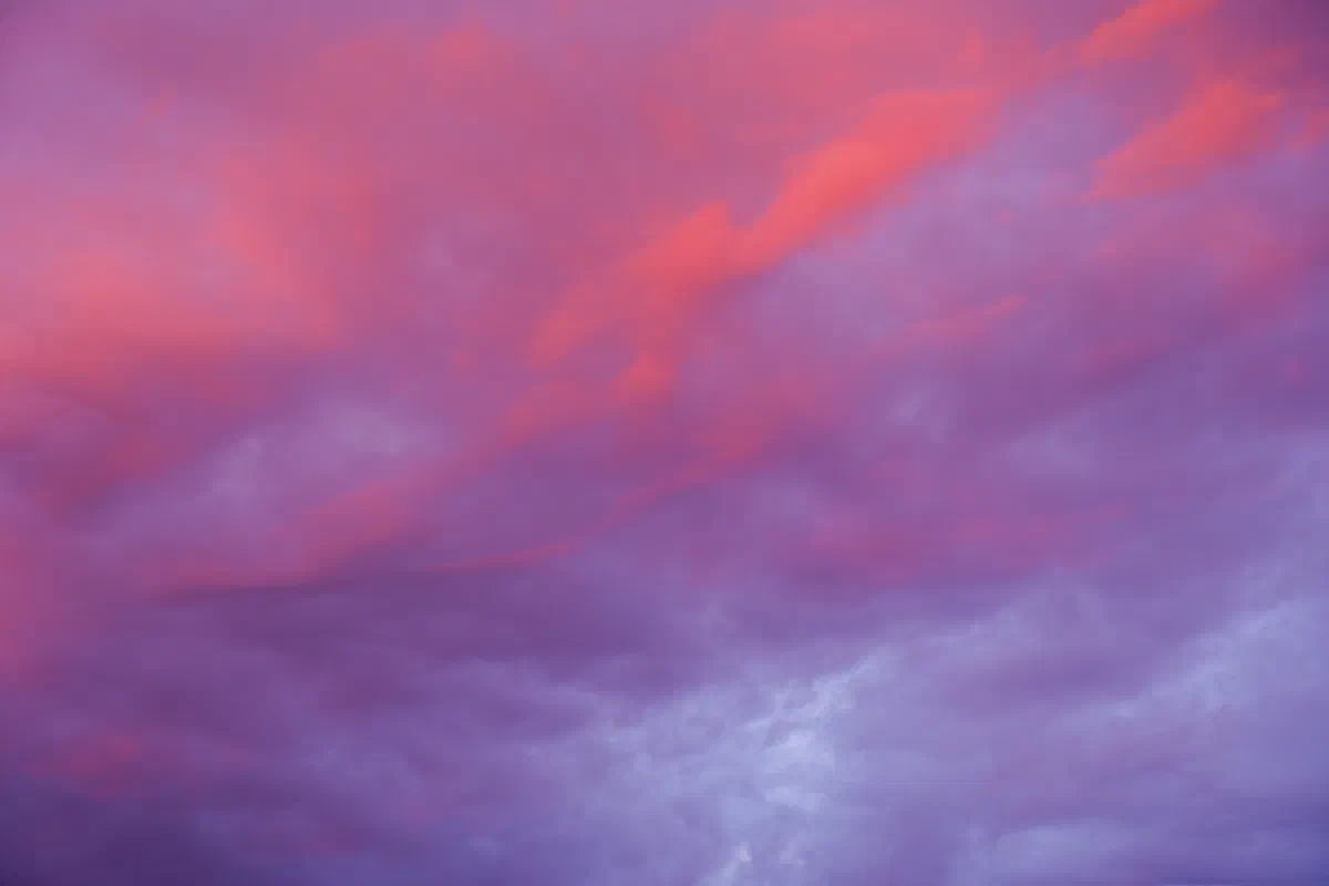 Nebulous II, Nature 2025
