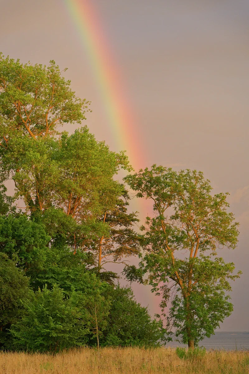 Rainbow Impact, Nature 2025