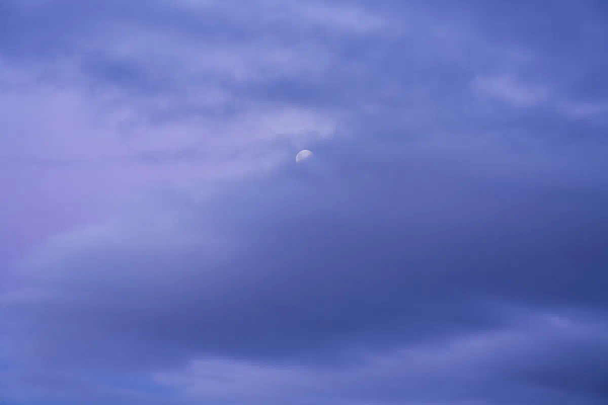 Purple Moonrise, Nature 2026