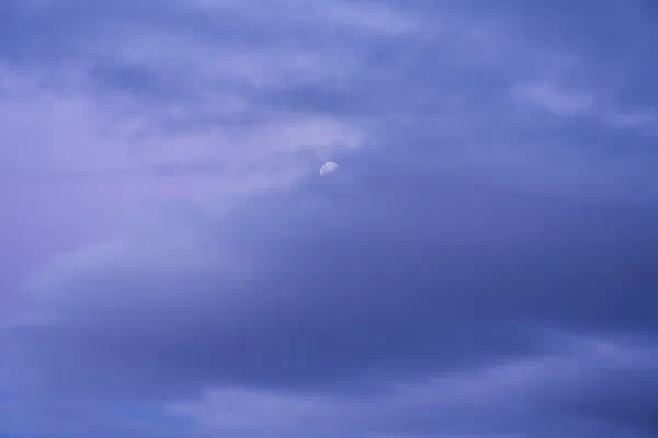 Purple Moonrise