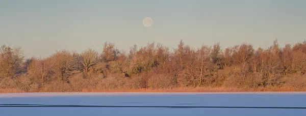Sun & Moon