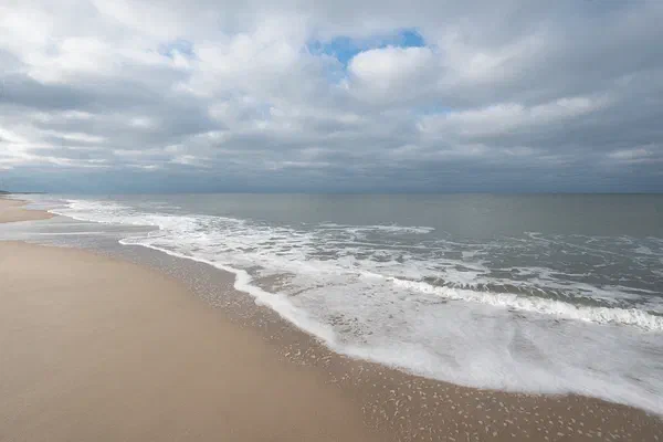 Ocean IV