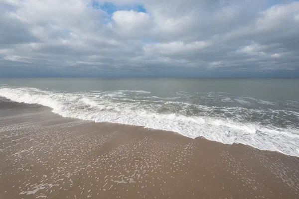 Ocean V