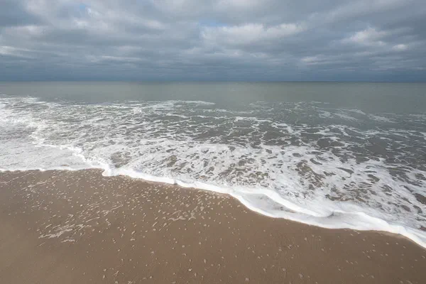 Ocean VI