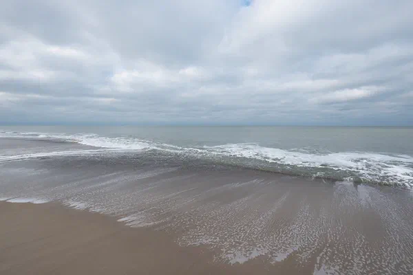 Ocean IX
