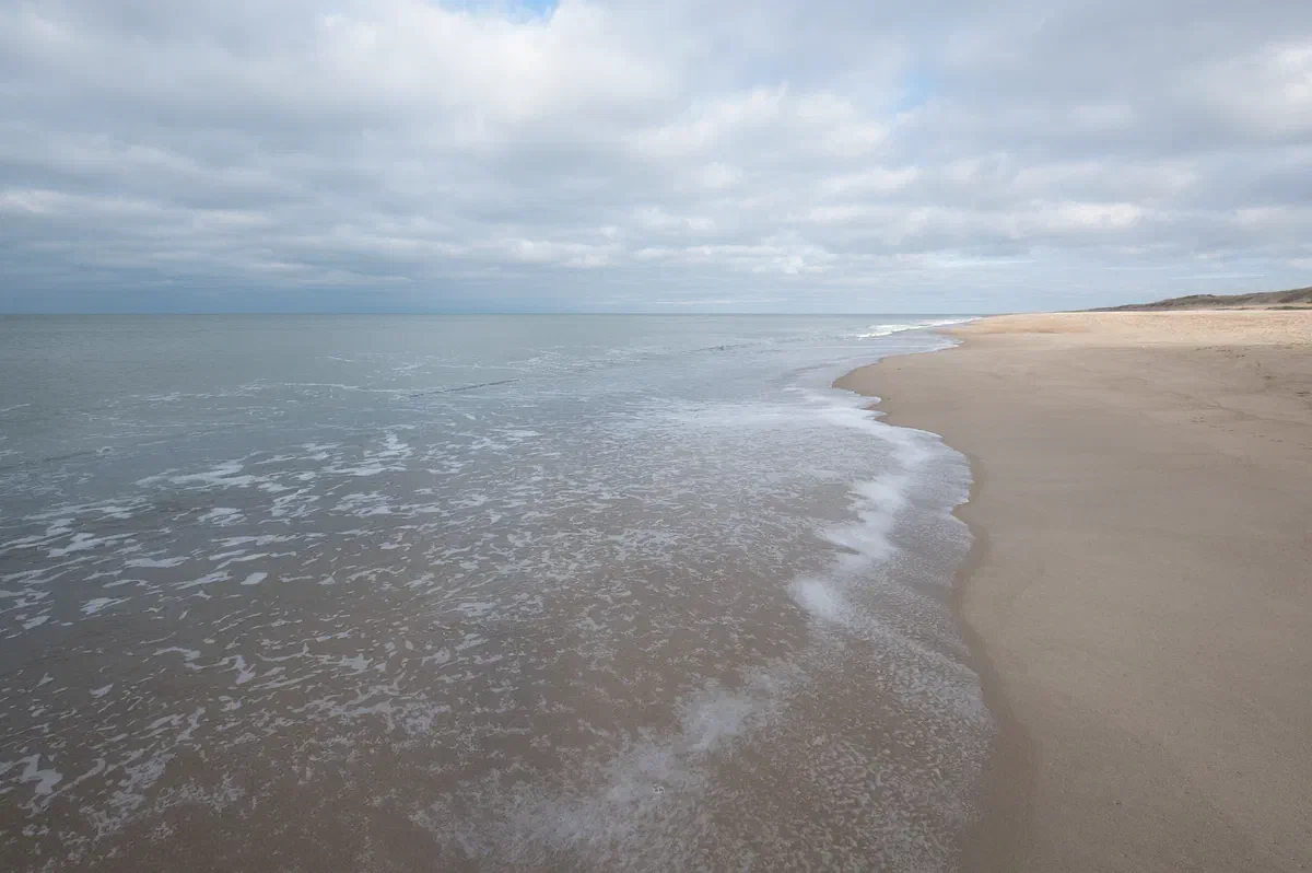 Ocean X, Ocean